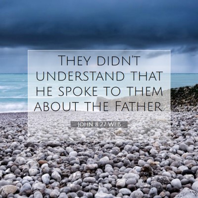 Picture 07 - John 8:27 WEB - They didn't understand that he spoke to them - Bible Verse Picture