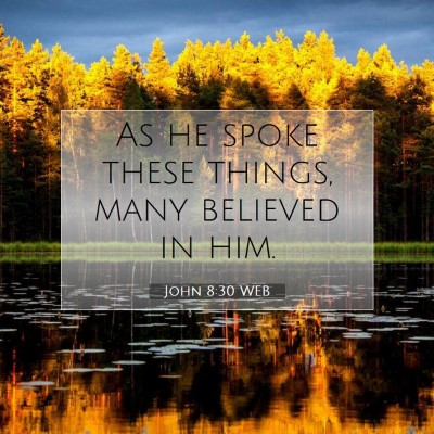 Picture 07 - John 8:30 WEB - As he spoke these things, many believed in - Bible Verse Picture