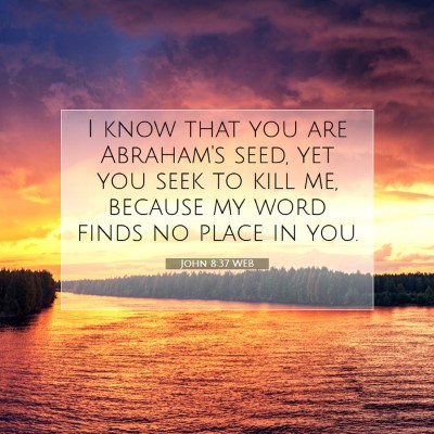 Picture 07 - John 8:37 WEB - I know that you are Abraham's seed, yet you seek - Bible Verse Picture