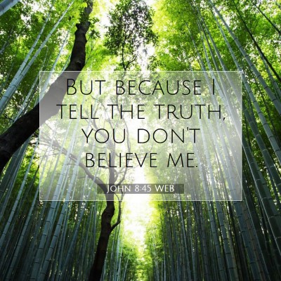Picture 07 - John 8:45 WEB - But because I tell the truth, you don't believe - Bible Verse Picture