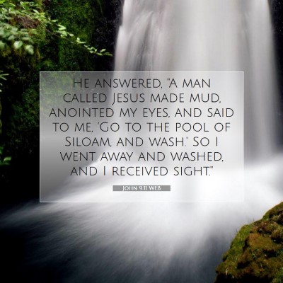 Picture 07 - John 9:11 WEB - He answered, 