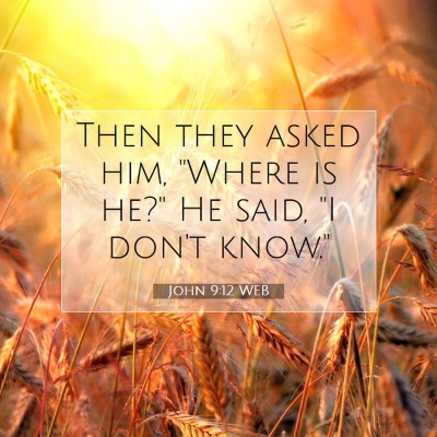 Picture 07 - John 9:12 WEB - Then they asked him, 