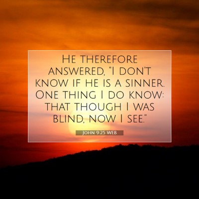 Picture 07 - John 9:25 WEB - He therefore answered, 
