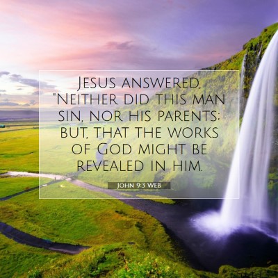Picture 07 - John 9:3 WEB - Jesus answered, 