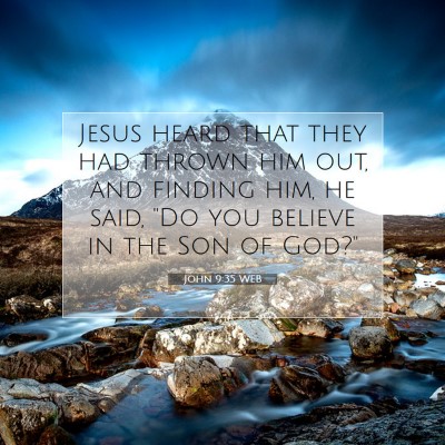 Picture 07 - John 9:35 WEB - Jesus heard that they had thrown him out, and - Bible Verse Picture