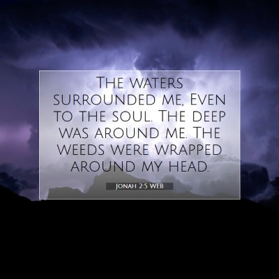 Picture 07 - Jonah 2:5 WEB - The waters surrounded me, Even to the soul. The - Bible Verse Picture