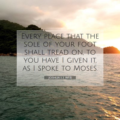 Picture 07 - Joshua 1:3 WEB - Every place that the sole of your foot shall - Bible Verse Picture