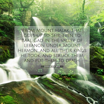 Picture 07 - Joshua 11:17 WEB - from Mount Halak, that goes up to Seir, even to - Bible Verse Picture