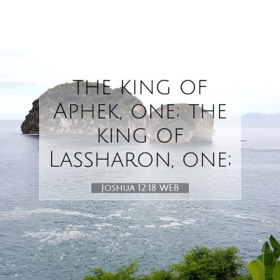 Picture 07 - Joshua 12:18 WEB - the king of Aphek, one; the king of Lassharon, - Bible Verse Picture