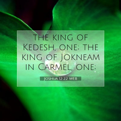 Picture 07 - Joshua 12:22 WEB - the king of Kedesh, one; the king of Jokneam in - Bible Verse Picture