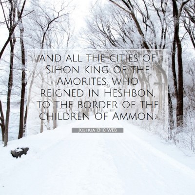 Picture 07 - Joshua 13:10 WEB - and all the cities of Sihon king of the Amorites, - Bible Verse Picture