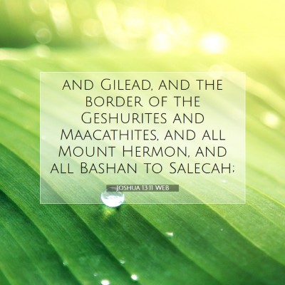 Picture 07 - Joshua 13:11 WEB - and Gilead, and the border of the Geshurites and - Bible Verse Picture