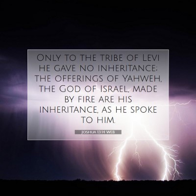 Picture 07 - Joshua 13:14 WEB - Only to the tribe of Levi he gave no inheritance; - Bible Verse Picture