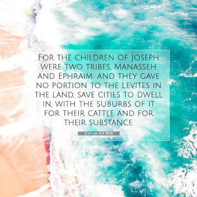 Picture 07 - Joshua 14:4 WEB - For the children of Joseph were two tribes, - Bible Verse Picture