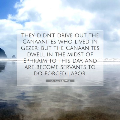 Picture 07 - Joshua 16:10 WEB - They didn't drive out the Canaanites who lived in - Bible Verse Picture
