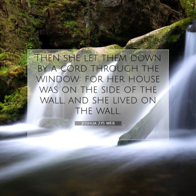 Picture 07 - Joshua 2:15 WEB - Then she let them down by a cord through the - Bible Verse Picture