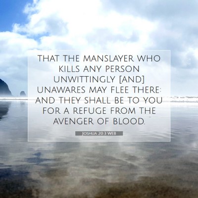 Picture 07 - Joshua 20:3 WEB - that the manslayer who kills any person - Bible Verse Picture