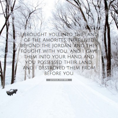 Picture 07 - Joshua 24:8 WEB - I brought you into the land of the Amorites, that - Bible Verse Picture