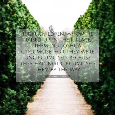 Picture 07 - Joshua 5:7 WEB - Their children, whom he raised up in their place, - Bible Verse Picture