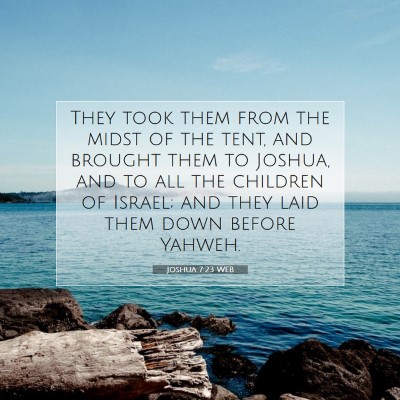 Picture 07 - Joshua 7:23 WEB - They took them from the midst of the tent, and - Bible Verse Picture