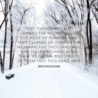 Picture 07 - Judges 20:45 WEB - They turned and fled toward the wilderness to the - Bible Verse Picture