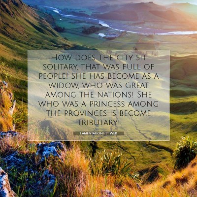 Picture 07 - Lamentations 1:1 WEB - How does the city sit solitary, that was full of - Bible Verse Picture