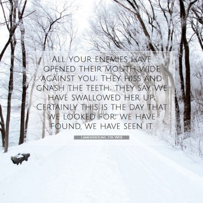 Picture 07 - Lamentations 2:16 WEB - All your enemies have opened their mouth wide - Bible Verse Picture