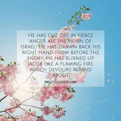 Picture 07 - Lamentations 2:3 WEB - He has cut off in fierce anger all the horn of - Bible Verse Picture