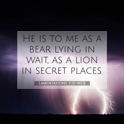Picture 07 - Lamentations 3:10 WEB - He is to me as a bear lying in wait, as a lion in - Bible Verse Picture