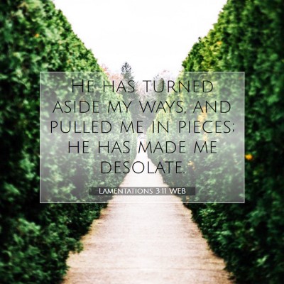 Picture 07 - Lamentations 3:11 WEB - He has turned aside my ways, and pulled me in - Bible Verse Picture