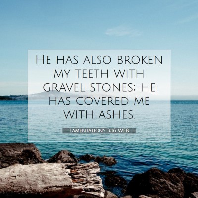 Picture 07 - Lamentations 3:16 WEB - He has also broken my teeth with gravel stones; - Bible Verse Picture