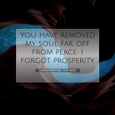 Picture 07 - Lamentations 3:17 WEB - You have removed my soul far off from peace; I - Bible Verse Picture