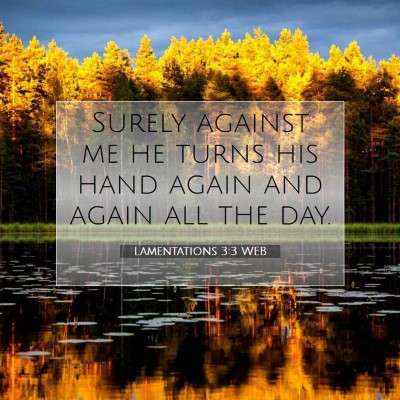 Picture 07 - Lamentations 3:3 WEB - Surely against me he turns his hand again and - Bible Verse Picture