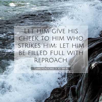 Picture 07 - Lamentations 3:30 WEB - Let him give his cheek to him who strikes him; - Bible Verse Picture