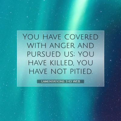 Picture 07 - Lamentations 3:43 WEB - You have covered with anger and pursued us; you - Bible Verse Picture