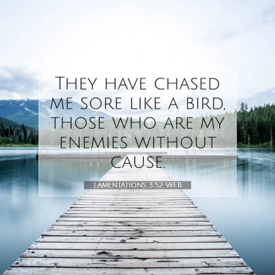 Picture 07 - Lamentations 3:52 WEB - They have chased me sore like a bird, those who - Bible Verse Picture