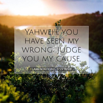 Picture 07 - Lamentations 3:59 WEB - Yahweh, you have seen my wrong; judge you my - Bible Verse Picture