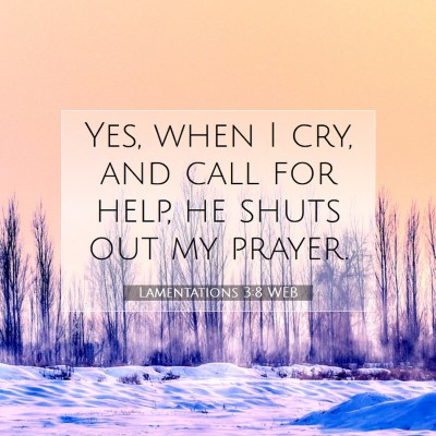 Picture 07 - Lamentations 3:8 WEB - Yes, when I cry, and call for help, he shuts out - Bible Verse Picture