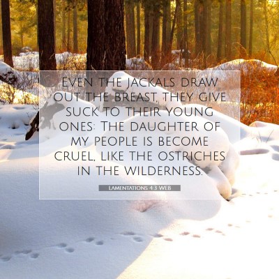 Picture 07 - Lamentations 4:3 WEB - Even the jackals draw out the breast, they give - Bible Verse Picture