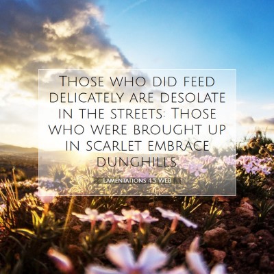 Picture 07 - Lamentations 4:5 WEB - Those who did feed delicately are desolate in the - Bible Verse Picture