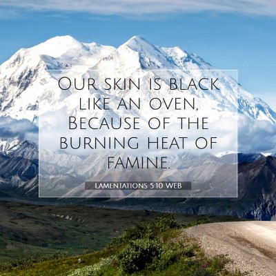 Picture 07 - Lamentations 5:10 WEB - Our skin is black like an oven, Because of the - Bible Verse Picture