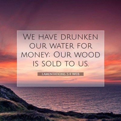 Picture 07 - Lamentations 5:4 WEB - We have drunken our water for money; Our wood is - Bible Verse Picture