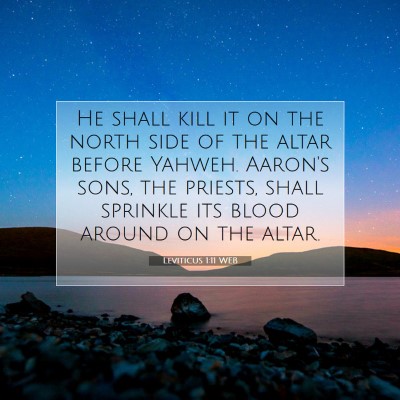 Picture 07 - Leviticus 1:11 WEB - He shall kill it on the north side of the altar - Bible Verse Picture