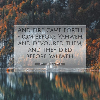 Picture 07 - Leviticus 10:2 WEB - And fire came forth from before Yahweh, and - Bible Verse Picture