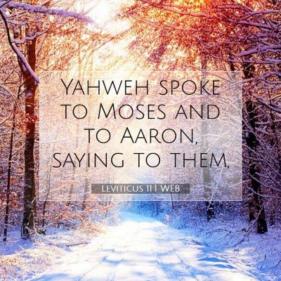 Picture 07 - Leviticus 11:1 WEB - Yahweh spoke to Moses and to Aaron, saying to - Bible Verse Picture