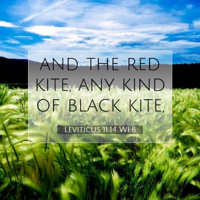 Picture 07 - Leviticus 11:14 WEB - and the red kite, any kind of black - Bible Verse Picture