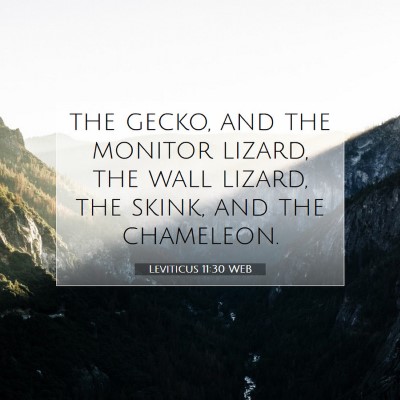 Picture 07 - Leviticus 11:30 WEB - the gecko, and the monitor lizard, the wall - Bible Verse Picture