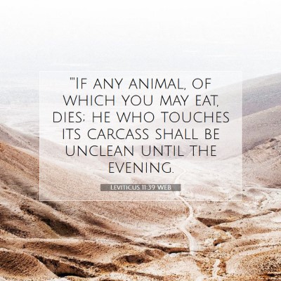 Picture 07 - Leviticus 11:39 WEB - 