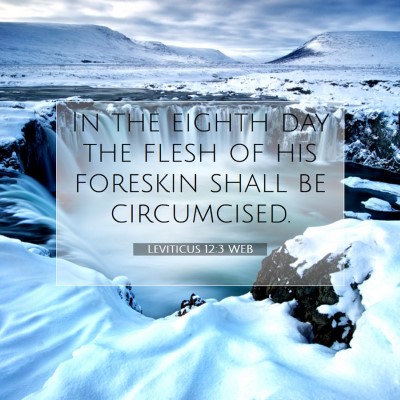 Picture 07 - Leviticus 12:3 WEB - In the eighth day the flesh of his foreskin shall - Bible Verse Picture