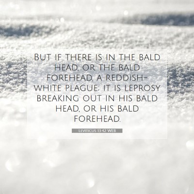 Picture 07 - Leviticus 13:42 WEB - But if there is in the bald head, or the bald - Bible Verse Picture